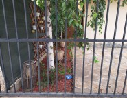 Casa de vânzare