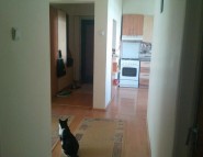 Apartament 4 camere