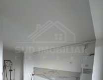 Apartament 2 camere în Berceni