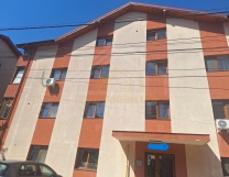 Vilă P+1+M în Berceni